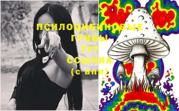 ешки Армянск