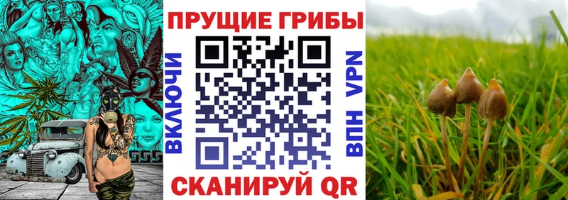 где купить наркотик  Барабинск  mega ТОР  Галлюциногенные грибы ЛСД 